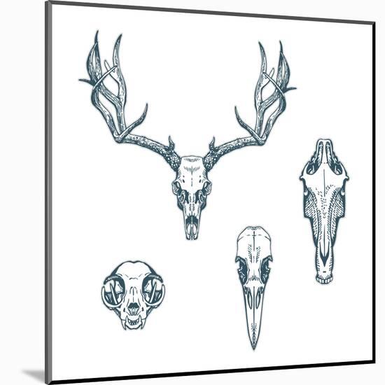 Animal Scull Set Deer Horse Cat Crow-Ptich-ya-Mounted Art Print