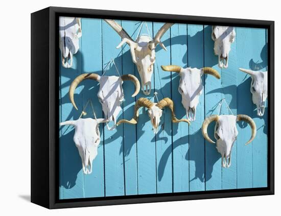 Animal Skulls for Sale, Taos, New Mexico, USA-Scott T. Smith-Framed Premier Image Canvas