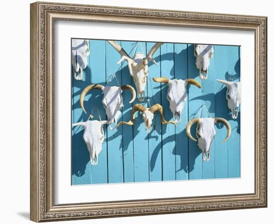 Animal Skulls for Sale, Taos, New Mexico, USA-Scott T. Smith-Framed Photographic Print