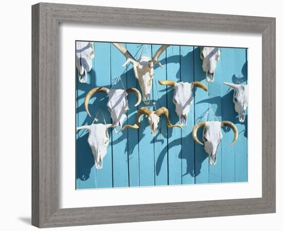 Animal Skulls for Sale, Taos, New Mexico, USA-Scott T. Smith-Framed Photographic Print