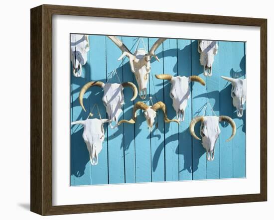 Animal Skulls for Sale, Taos, New Mexico, USA-Scott T. Smith-Framed Photographic Print