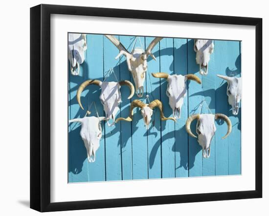 Animal Skulls for Sale, Taos, New Mexico, USA-Scott T. Smith-Framed Photographic Print