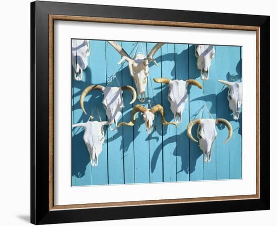 Animal Skulls for Sale, Taos, New Mexico, USA-Scott T. Smith-Framed Photographic Print