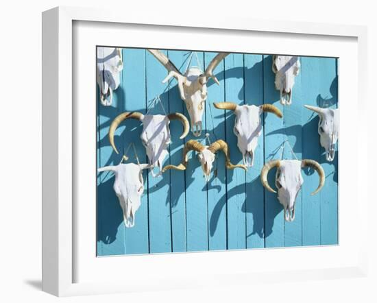 Animal Skulls for Sale, Taos, New Mexico, USA-Scott T. Smith-Framed Photographic Print