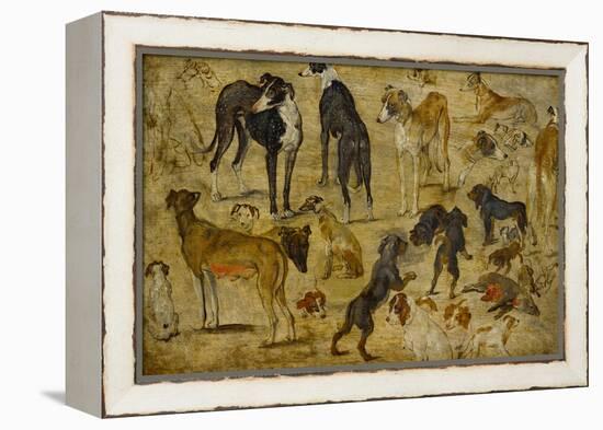 Animal Studies: Dogs-Jan Brueghel the Elder-Framed Premier Image Canvas