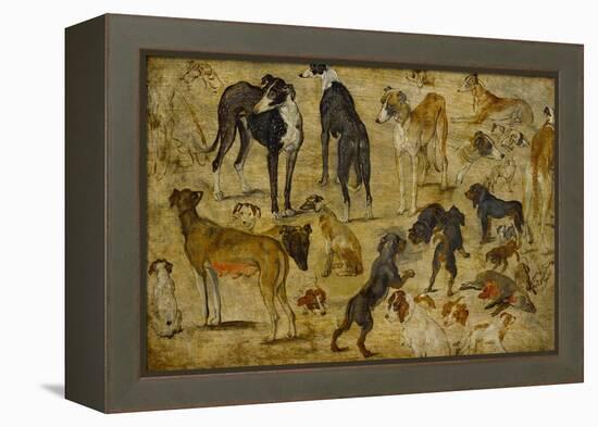 Animal Studies: Dogs-Jan Brueghel the Elder-Framed Premier Image Canvas