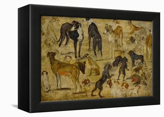 Animal Studies: Dogs-Jan Brueghel the Elder-Framed Premier Image Canvas