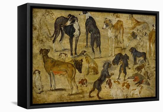 Animal Studies: Dogs-Jan Brueghel the Elder-Framed Premier Image Canvas