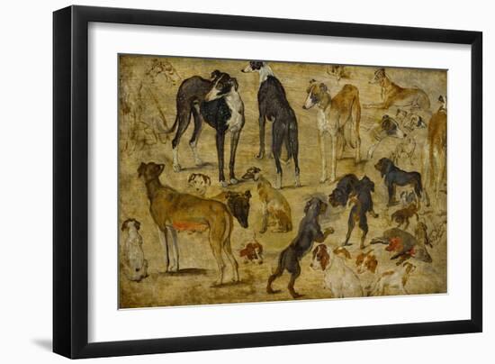 Animal Studies: Dogs-Jan Brueghel the Elder-Framed Giclee Print