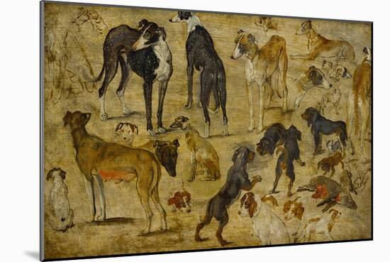 Animal Studies: Dogs-Jan Brueghel the Elder-Mounted Giclee Print