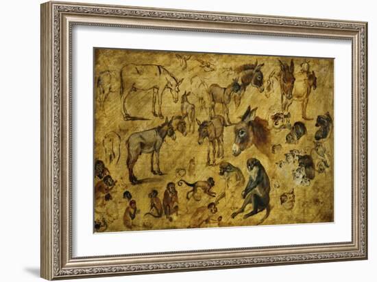 Animal Studies: Donkeys, Cats, Monkeys-Jan Brueghel the Elder-Framed Giclee Print