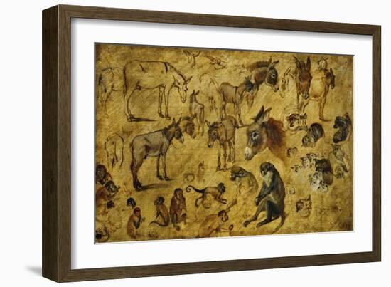 Animal Studies: Donkeys, Cats, Monkeys-Jan Brueghel the Elder-Framed Giclee Print