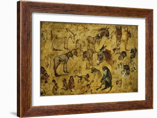 Animal Studies: Donkeys, Cats, Monkeys-Jan Brueghel the Elder-Framed Giclee Print