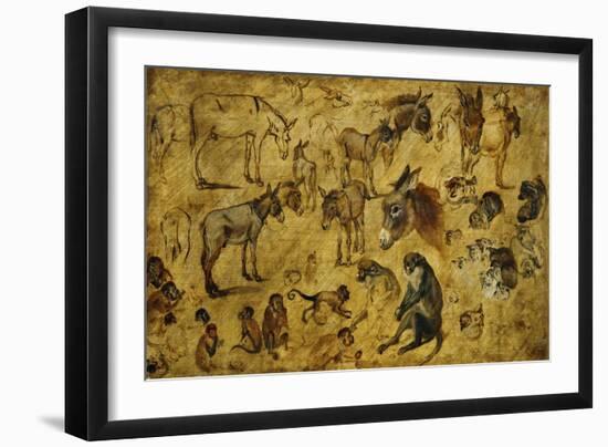 Animal Studies: Donkeys, Cats, Monkeys-Jan Brueghel the Elder-Framed Giclee Print