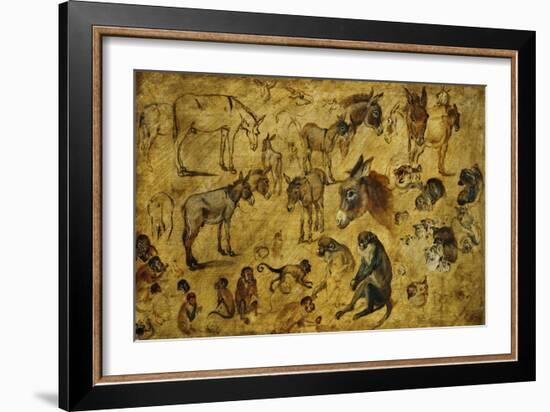 Animal Studies: Donkeys, Cats, Monkeys-Jan Brueghel the Elder-Framed Giclee Print