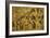 Animal Studies: Donkeys, Cats, Monkeys-Jan Brueghel the Elder-Framed Giclee Print