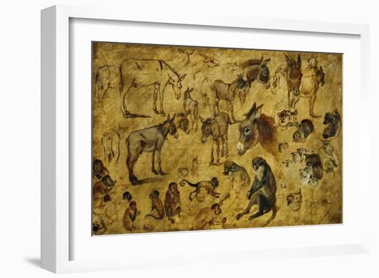 Animal Studies: Donkeys, Cats, Monkeys-Jan Brueghel the Elder-Framed Giclee Print