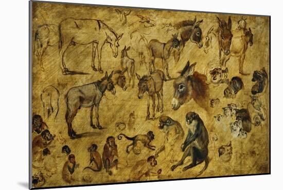Animal Studies: Donkeys, Cats, Monkeys-Jan Brueghel the Elder-Mounted Giclee Print
