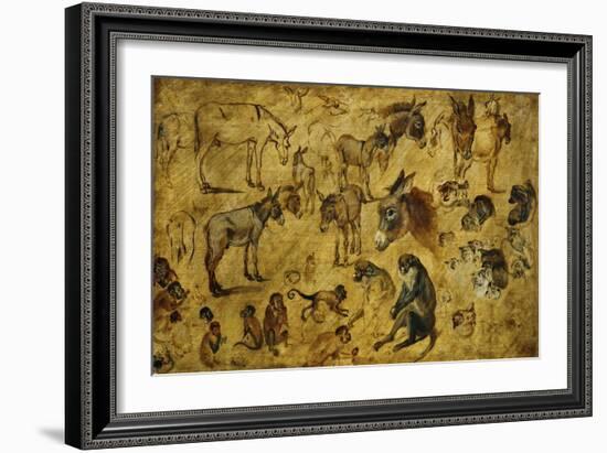 Animal Studies: Donkeys, Cats, Monkeys-Jan Brueghel the Elder-Framed Giclee Print