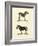 Animal Studies I-Vision Studio-Framed Art Print