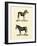 Animal Studies I-Vision Studio-Framed Art Print