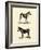 Animal Studies I-Vision Studio-Framed Art Print