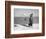 Animal Talk 10, 2015-Jaschi Klein-Framed Photographic Print