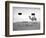 Animal Talk 11,-Jaschi Klein-Framed Photographic Print