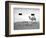 Animal Talk 11,-Jaschi Klein-Framed Photographic Print