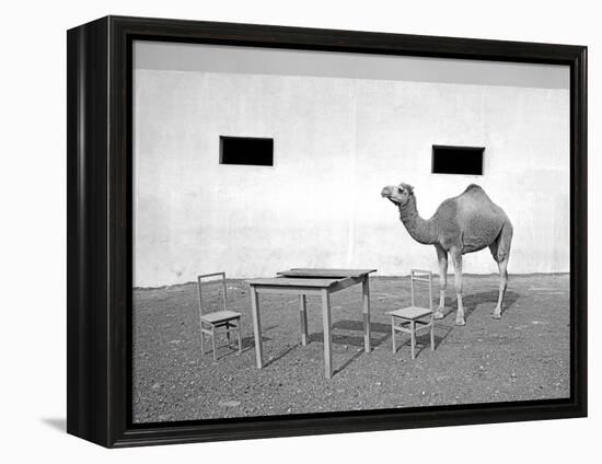 Animal Talk 11,-Jaschi Klein-Framed Premier Image Canvas
