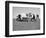 Animal Talk 13, 2015-Jaschi Klein-Framed Photographic Print