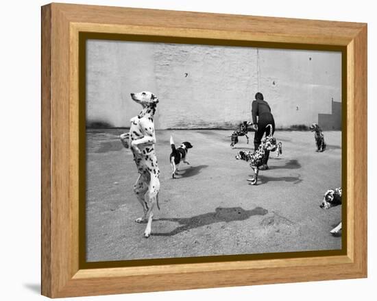 Animal Talk 5, 2015-Jaschi Klein-Framed Premier Image Canvas