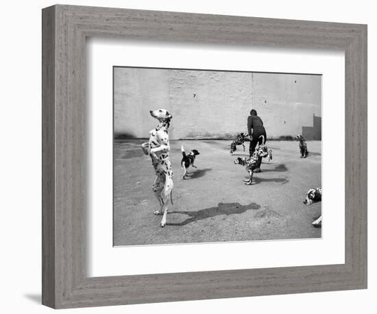 Animal Talk 5, 2015-Jaschi Klein-Framed Photographic Print