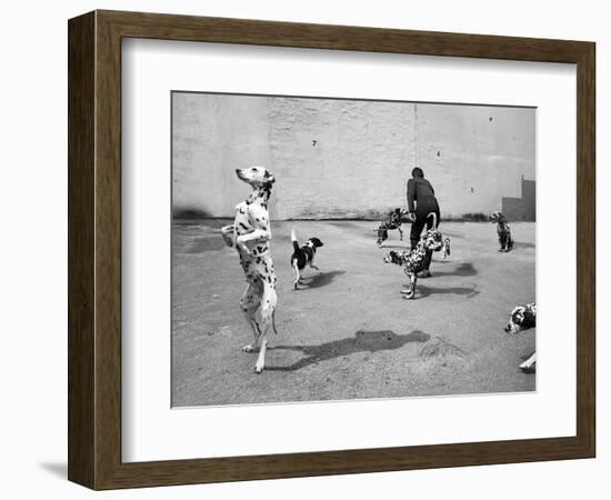 Animal Talk 5, 2015-Jaschi Klein-Framed Photographic Print