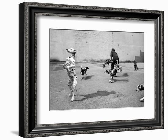 Animal Talk 5, 2015-Jaschi Klein-Framed Photographic Print