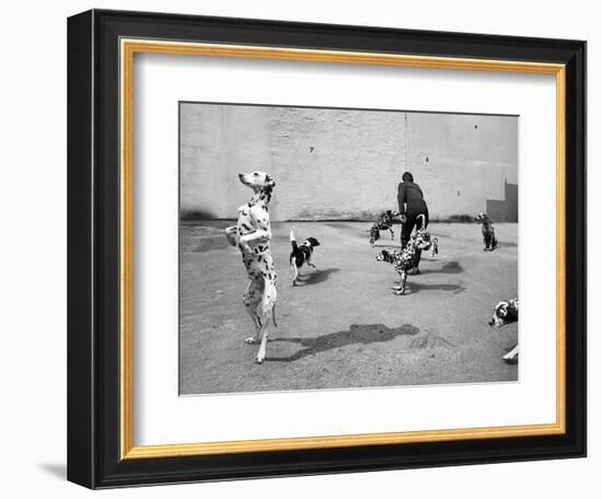 Animal Talk 5, 2015-Jaschi Klein-Framed Photographic Print