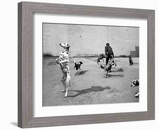 Animal Talk 6-Jaschi Klein-Framed Photographic Print