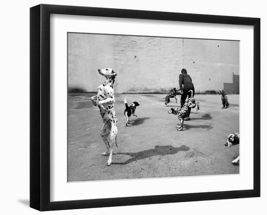 Animal Talk 6-Jaschi Klein-Framed Photographic Print