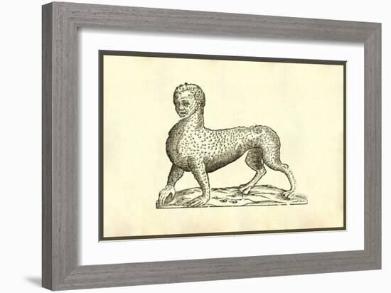 Animal Tigridi Affine-Ulisse Aldrovandi-Framed Art Print