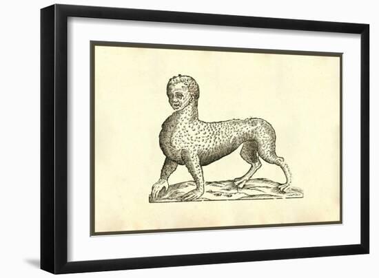 Animal Tigridi Affine-Ulisse Aldrovandi-Framed Art Print