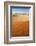 Animal Tracks in Sand, Namib Desert, Namibia, Africa-Ann and Steve Toon-Framed Photographic Print