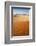 Animal Tracks in Sand, Namib Desert, Namibia, Africa-Ann and Steve Toon-Framed Photographic Print