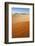 Animal Tracks in Sand, Namib Desert, Namibia, Africa-Ann and Steve Toon-Framed Photographic Print