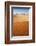 Animal Tracks in Sand, Namib Desert, Namibia, Africa-Ann and Steve Toon-Framed Photographic Print