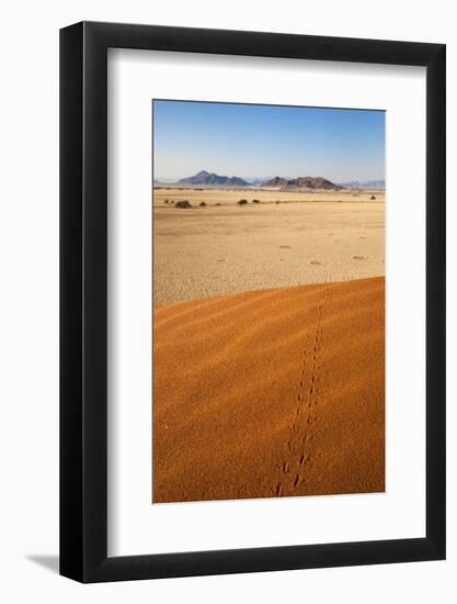 Animal Tracks in Sand, Namib Desert, Namibia, Africa-Ann and Steve Toon-Framed Photographic Print