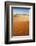 Animal Tracks in Sand, Namib Desert, Namibia, Africa-Ann and Steve Toon-Framed Photographic Print