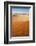 Animal Tracks in Sand, Namib Desert, Namibia, Africa-Ann and Steve Toon-Framed Photographic Print