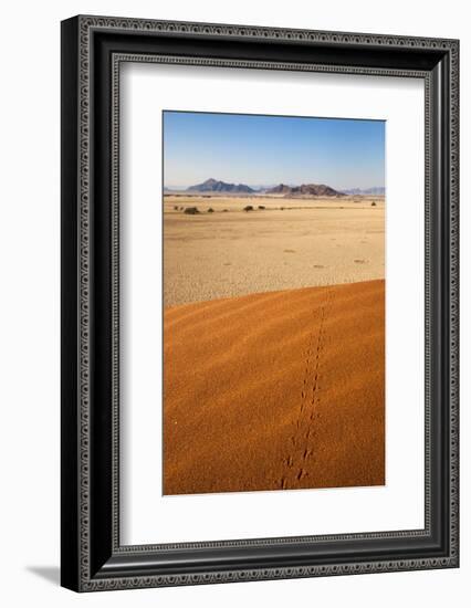 Animal Tracks in Sand, Namib Desert, Namibia, Africa-Ann and Steve Toon-Framed Photographic Print