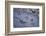 Animal tracks in the muddy bottom, close-up-David & Micha Sheldon-Framed Photographic Print