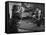 Animal Trainer Gunther Gebel Williams on "Panorama" with Guest Martha Mitchell and Maury Povich-Walter Bennett-Framed Premier Image Canvas